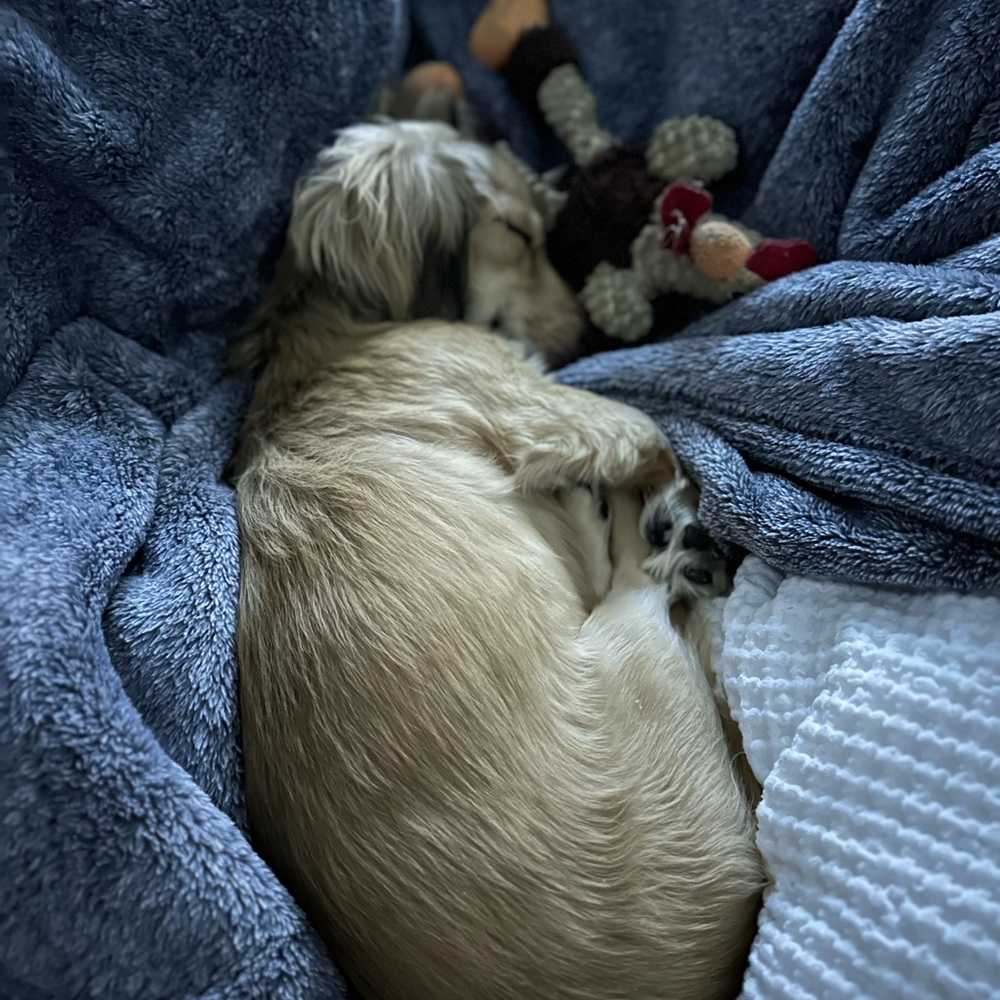 Meet your Posher, Jillian